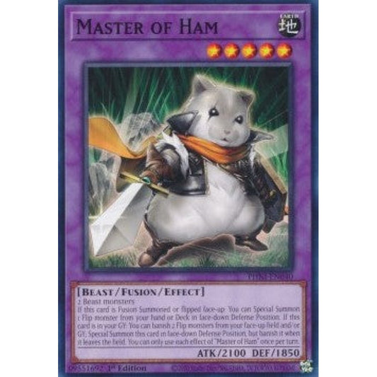 Yu-Gi-Oh! PHNI-EN040 Master of Ham