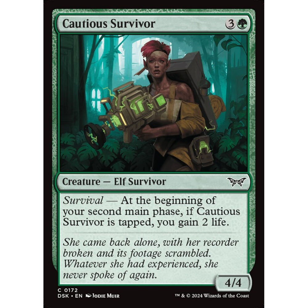 Cautious Survivor (C 172 DSK)